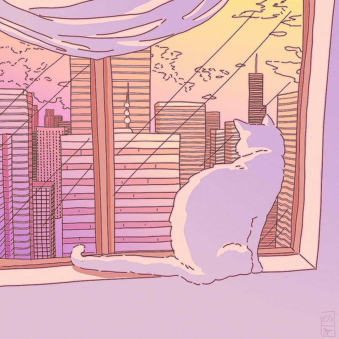 Cat sunset